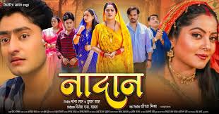 NADAN Poster