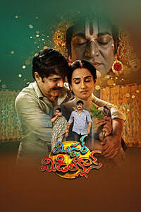 MISTER MIDDLE CLASS (TELUGU) Poster